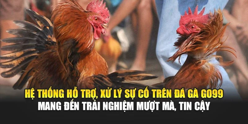 Hệ thống hỗ trợ, xử lý sự cố trên đá gà GO99 mang đến trải nghiệm mượt mà, tin cậy