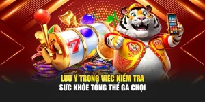 Nổ Hũ TT88 – Thế Giới Giải Trí Đỉnh Cao Và Phần Thưởng Lớn
