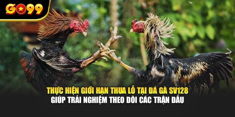 Thực hiện giới hạn thua lỗ tại đá gà Sv128 giúp trải nghiệm theo dõi các trận đấu